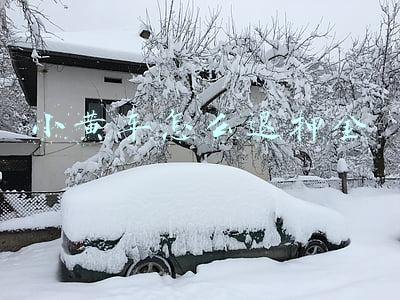 小黄车怎么退押金