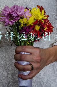 好评返现图片