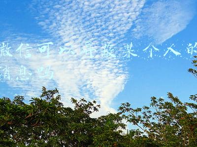 微信可以屏蔽某个人的消息吗