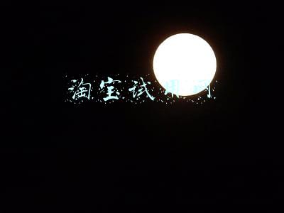 淘宝试用网