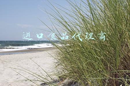 进口食品代理商