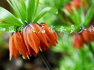 牛杂馆加盟费多少钱 牛杂加盟要多少钱？