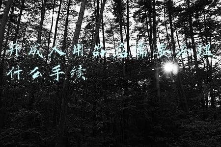 开成人用品店需要办理什么手续