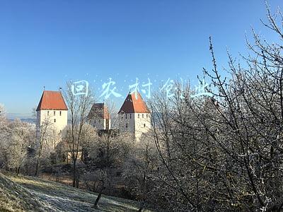 回农村创业干点什么好(不想打工了，回农村创业看我是怎么做的)
