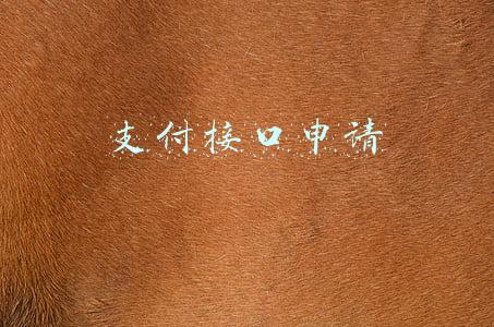 支付接口申请平台范本(电费充值接口API 文档分享)