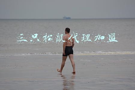 三只松鼠代理加盟