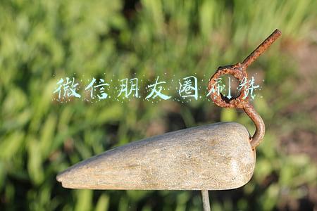 微信朋友圈刷赞网站推广低价(“刷单点赞”就能赚外快？这么轻松的钱，可不好赚啊~)