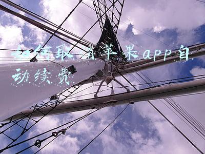 如何取消苹果app自动续费