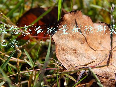 微信怎么批量删除聊天记录