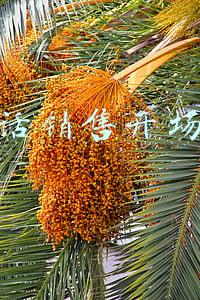 电话销售开场白