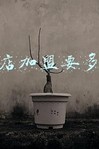 化妆品加盟要多少钱《开一家护肤品加盟店需要多少钱啊？》