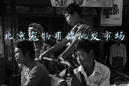 北京宠物用品批发市场