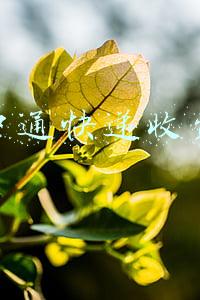 中通快递收费计算器(减税降费与小规模纳税人的“看得见”)