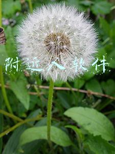 附近人软件