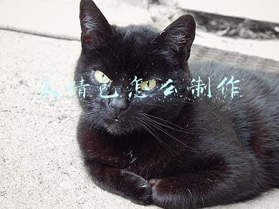 表情包怎么制作