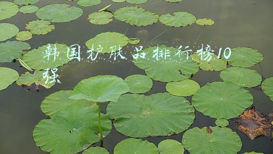 韩国护肤品排行榜10强