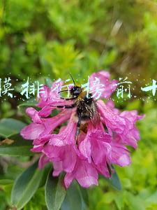 面膜排行榜前十名