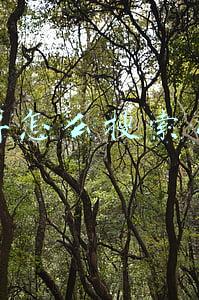 微博怎么搜索用户