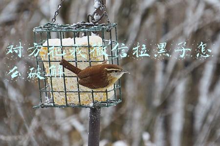 对方把我微信拉黑了怎么破解