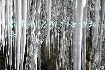 最有创意的广告语30条告词(肉兔养殖戶，看完本文少走弯路)
