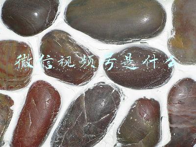 微信视频号是什么