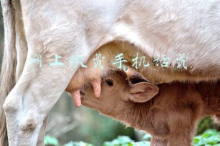 网上缴费手机话费 网上缴费手机话费