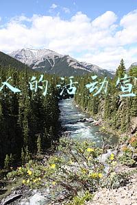 吸引人的活动宣传语