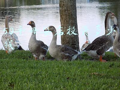 开个小型母婴店要多少钱《开母婴店需要多少钱?》