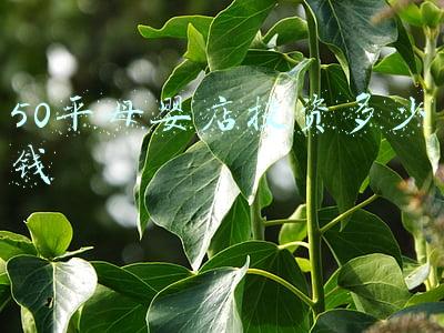 开一家母婴店需要多少成本-一家母婴店大概投资多少钱