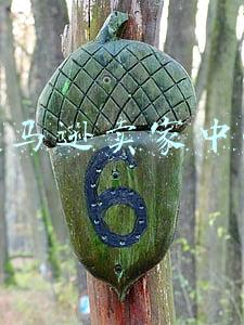 亚马逊卖家中心
