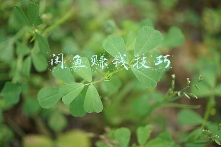 闲鱼赚钱技巧