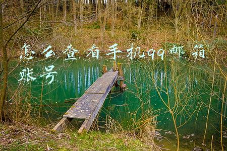 怎么查看手机qq邮箱账号