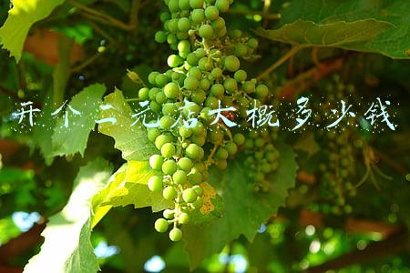 开两元店 大概要投资多少（开一家二元店需要多少钱）