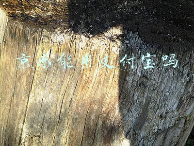 京东能用支付宝吗