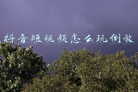 抖音短视频怎么玩倒放