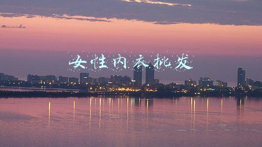 女性内衣批发