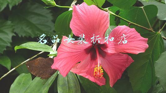 名品女装折扣店