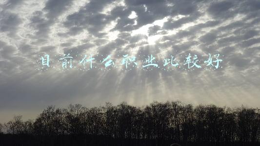 目前什么职业比较好