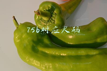 75b对应尺码是34(你还不懂选择合适的文胸的尺码吗？一分钟教会你)