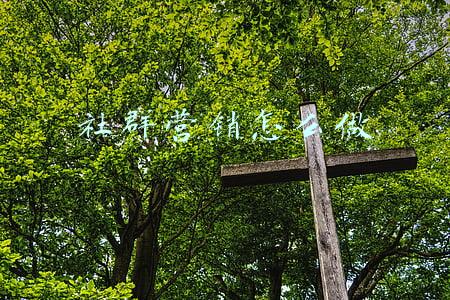 社群营销怎么做