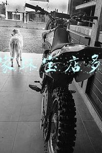 开个首饰店要多少钱《开一间饰品店大概要多少钱？》