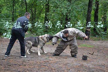 考拉海购的东西是正品吗