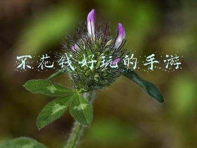 不花钱好玩的手游