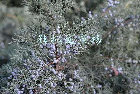 鞋批发市场