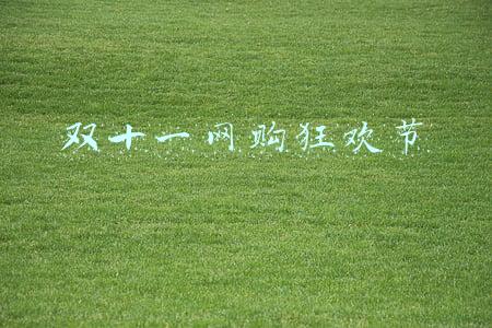 双十一网购狂欢节