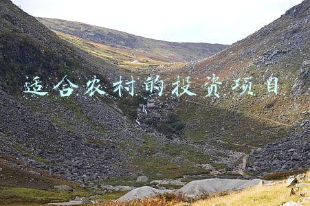 适合农村的投资项目