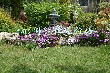 ems国际快递价格