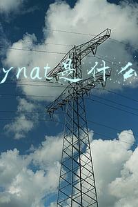 moynat是什么牌子