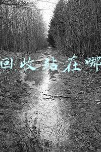 手机回收站在哪里找