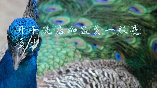 加盟干洗店利润怎样-干洗店加盟利润怎么样